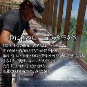 塩 天日塩 天然塩 国産 自然塩 TVで紹介 ...の詳細画像2