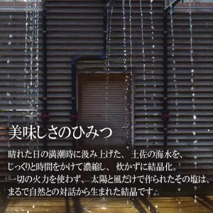 塩 天日塩 天然塩 国産 自然塩 TVで紹介 ...の詳細画像3