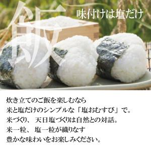 塩 天日塩 天然塩 国産 自然塩 TVで紹介 ...の詳細画像4