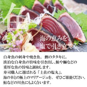 塩 天日塩 天然塩 国産 自然塩 TVで紹介 ...の詳細画像5