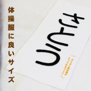お名前フロッキー ジャンボサイズ縦書き 2列3...の詳細画像2