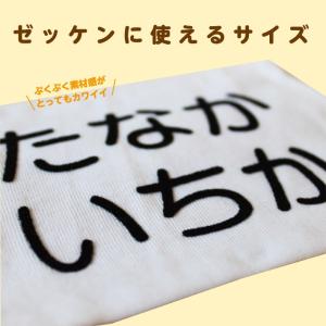 お名前フロッキー ジャンボサイズ横書き 2列3...の詳細画像2