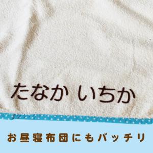 お名前フロッキー ジャンボサイズ横書き 2列3...の詳細画像3