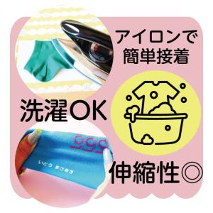 フロッキーネーム 選べるカラー9色 66片 大...の詳細画像5