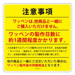 【お名前ワッペン】3枚セット ワッペン お名前...の詳細画像1