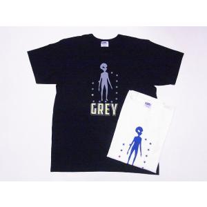 フェローズ Pherrow's Tシャツ 24S-PMT4 GREY｜cream05