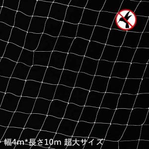 防鳥ネット ベランダ鳥よけネット 幅4m×長さ10m カラス