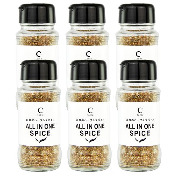 11種のハーブ＆スパイス ALL IN ONE SPICE 110g 6本 アウトドアスパイス  万...