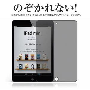 iPad Pro 9.7 / iPad Air / iPad Air 2 / iPad5 / iPad6 覗き見防止 液晶保護ガラスフィルム 縦向タイプ (0.33mm 2.5D 強化ガラス)