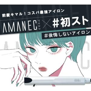 公式ストア ストレートアイロン クレイツ スト...の詳細画像1