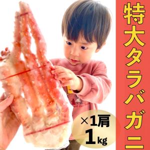 カニ かに 蟹 特大タラバガニ 1kg  ボイル 5L ゆで 太脚 訳あり たらば蟹 お歳暮 御歳暮 ギフト 年末年始 お取り寄せ 格安 激安 最安値｜CREATIVE A DAY ヤフー店