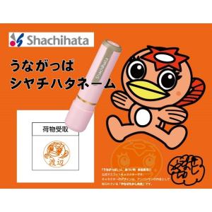 うながっぱ　シャチハタネーム　ネーム9