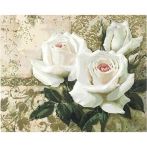 油絵 絵画 壁掛け 父の日 塗り絵 油絵 セット インテリア 美術品 白い牡丹 DIY絵 キャンバス...