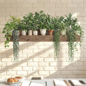 ウォールステッカー 木 花 植物 春 グリーン...の詳細画像3