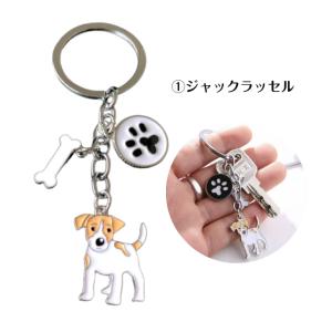 犬 ジャックラッセル コーギー ボストンテリア...の詳細画像1