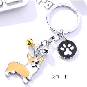 犬 ジャックラッセル コーギー ボストンテリア...の詳細画像4