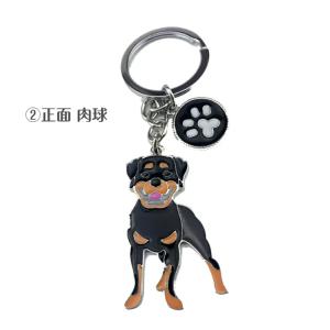 犬 ドーベルマン シェパード ダルメシアン ジ...の詳細画像4