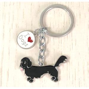 ダックスフンド ダックス 犬 ミニチュアダック...の詳細画像1