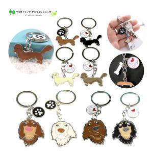 ダックスフンド ダックス 犬 ミニチュアダック...の詳細画像3