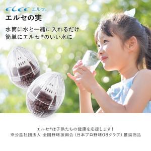 ユニシティ ネイジーン エボリューション デイ アンド ナイト セラム