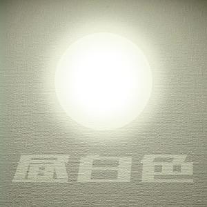 LEDスポットライト 調光対応 狭角タイプ E...の詳細画像4