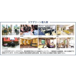 除菌消臭器 ジアグリーン・プランシェ 超音波加...の詳細画像2