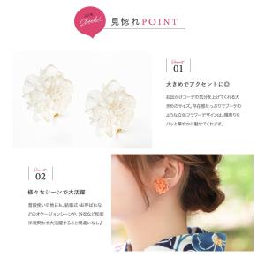 選べる ピアス イヤリング シルバーポスト ス...の詳細画像2