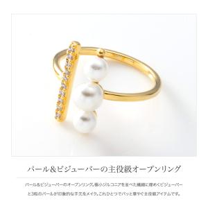 【本日最終日★2点10%OFFクーポン】金属ア...の詳細画像1