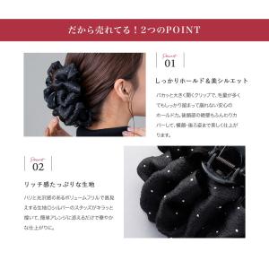 【最大50%OFF×全品送料無料】バンスクリッ...の詳細画像2