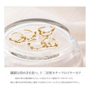 【本日最終日★2点10%OFFクーポン】イヤー...の詳細画像1