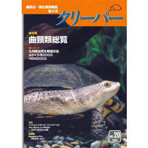 不発のクリーパー 不発のクリーパー 不発のクリーパー zx-air52_1_512x512.jpg?v=