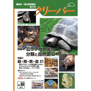 愛好家から学ぶ アメリカハコガメ飼育術 : クリーパー社 - 通販