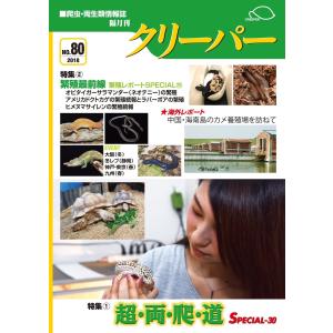クリーパー100号 : クリーパー社 - 通販 - Yahoo!ショッピング