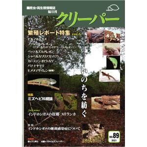 クリーパー89号の商品画像