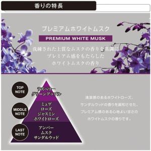 カーメイト BLANG ブラング L10017...の詳細画像1