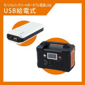 カーメイト SA203 メモリーキーパー US...の詳細画像3