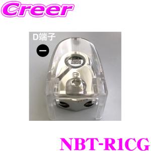 日本正規品 ロックフォード RockfordFosgate RFDB1 D端子用バッテリー