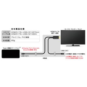 カシムラ KD-266 HDMI変換ケーブル ...の詳細画像1
