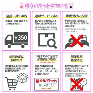 MODELLISTA モデリスタ MSA10-...の詳細画像3