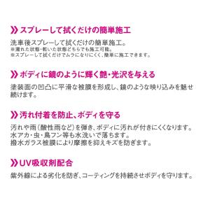 ペルシードドロップショット2 撥水タイプ 2個...の詳細画像4