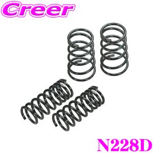 RSR RS-R Ti2000 ローダウンサスペンション N228TD 日産 SNT33 T33