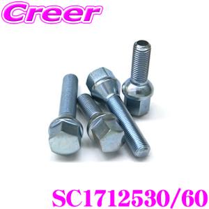 日本正規品 シュラウベ Schraube ZINCボルトSC1712530/60(1本入り)｜creer-net