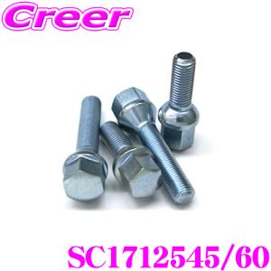 日本正規品 シュラウベ Schraube ZINCボルトSC1712545/60(1本入り)｜creer-net