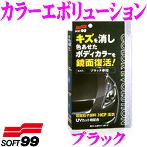 ソフト99 （正規店） カラーエボリューション ブラック （ワックス/WAX