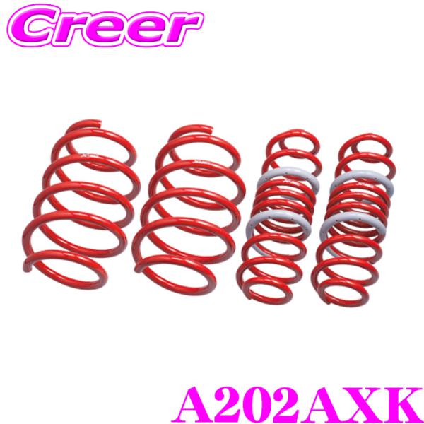 タナベ SUSTEC X-LIMIT スプリング A202AXK ライズ A202A ロッキー A2...