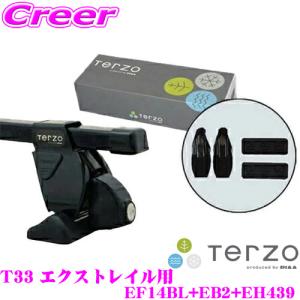 TERZO エクストレイル T32 HT32 HNT32 （ルーフレール付車） スキー