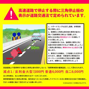 大きくて見やすい1辺43cm コンパクト収納 ...の詳細画像5
