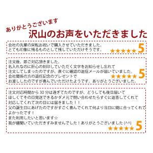アイコス3 革製 ドアカバー おしゃれ 名入れ...の詳細画像3