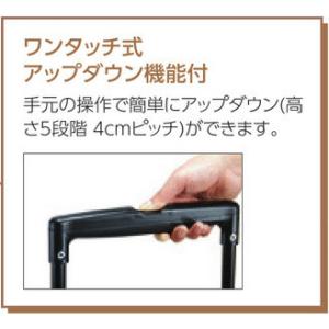 メロディスムーズST 小花BK (島製作所)の詳細画像2