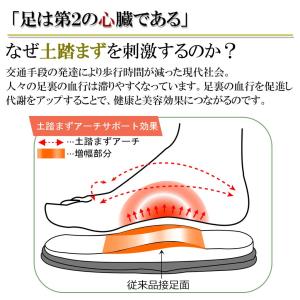 竹踏み スリッパ Dセノーテデコラ極 Lサイズ...の詳細画像3
